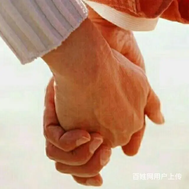 诚意入赘 - 图片 1