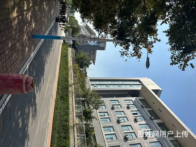 初中毕业考不上高中 公办学校 免学费 - 图片 8