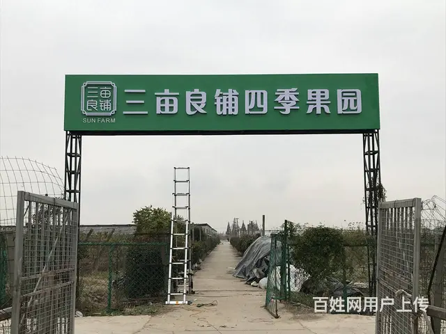 张家港坤海广告 招牌灯箱 发光字制作安装一站式服务 - 图片
