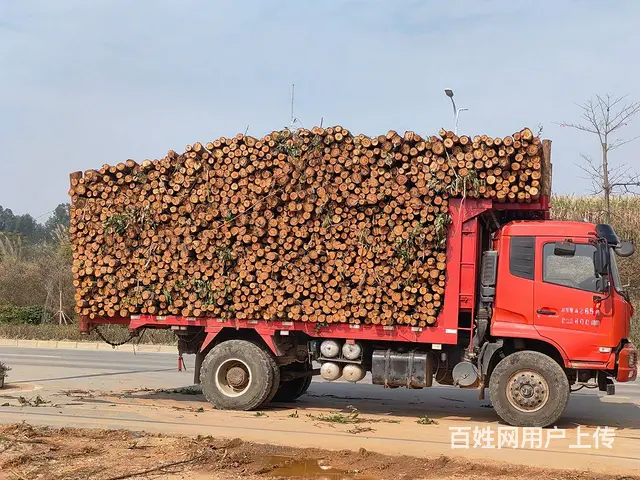 东风 天锦 自卸车 国5 - 图片 2