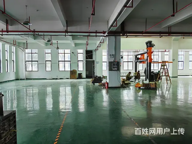 （房东直租）一楼实心厂房 - 图片 10