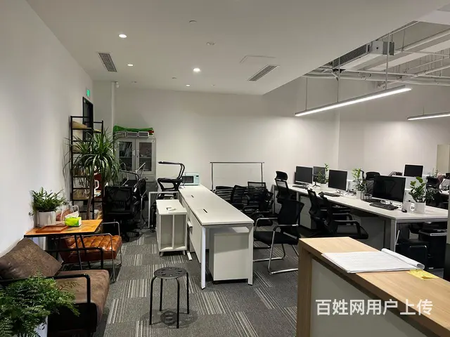 阿里园区 直播基地 精装带家具 环境优好招人近云狐 可补贴 - 图片 7