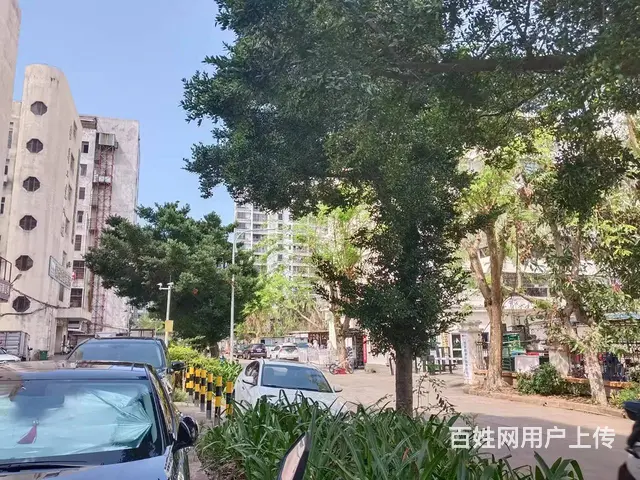（51旺铺推荐）金盘85平办公室出租 - 图片 6