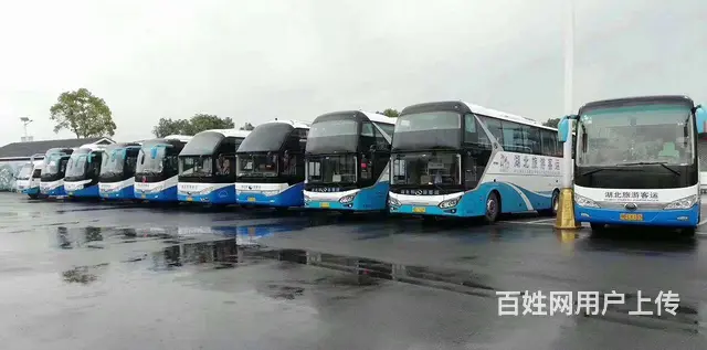 汉川应城孝感大巴出租 - 图片 2