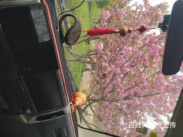 福田 其他 平板车 国5 - 图片 4