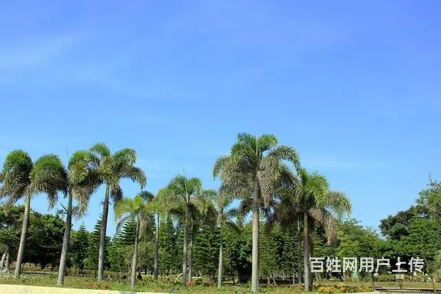 乳山 新地标名仕家园 高铁站东振华商城旁 旅游度假 - 图片 9
