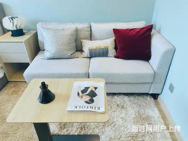 多套可选 看到满意为止 押一付一 包物业 可短租 长租有优惠 - 图片 3