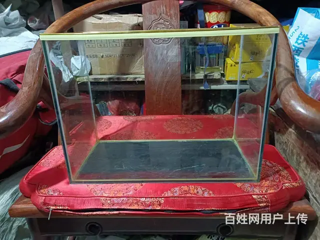 【搞定了！】鱼缸 - 图片 1