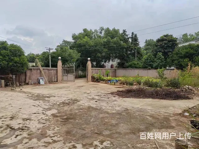 （老板本人）宁乡花明楼高速口附近厂房仓库房东低价出租6738 - 图片 5