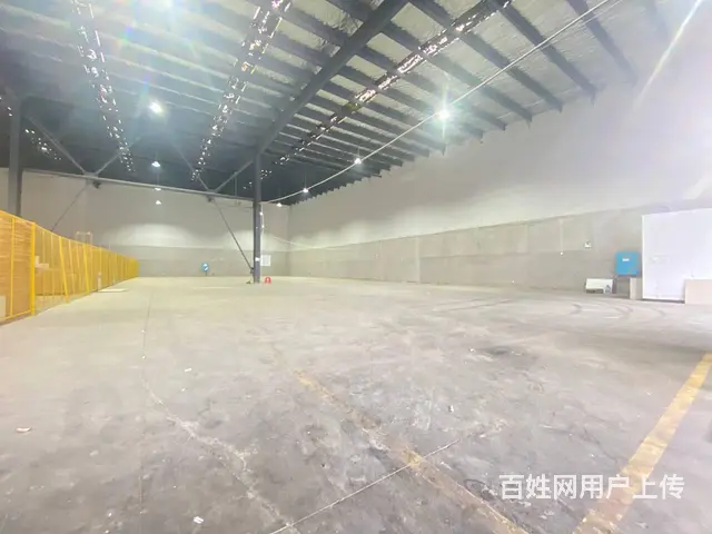 大汉金桥物流园区500一1200平厂房，丙类仓库出租，可分租 - 图片 7