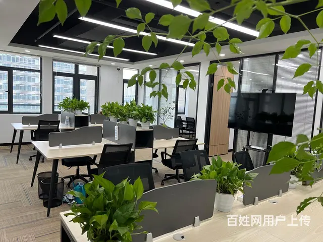 云狐科技园 直播电商好地方 房补1元 带露台精装直播间拎包 - 图片 10