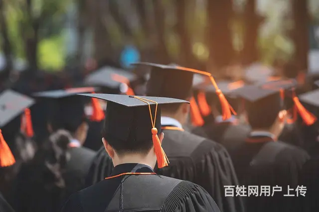 莎车县学历提升，新疆职业资格证，喀什市学历报考中心 - 图片 3