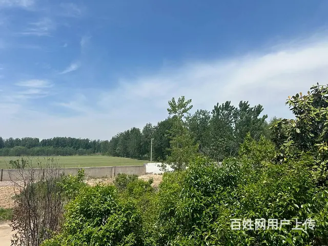 （城市在线找房免费）104国道潘塘高速出入口附近土地出租 - 图片 4