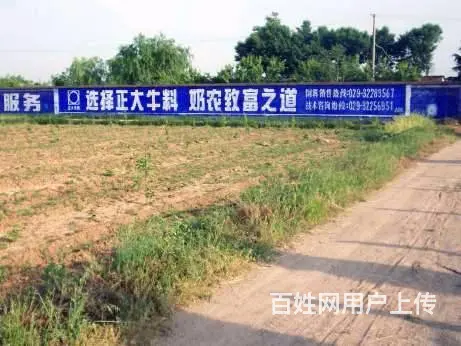 郑州喷绘墙体广告 墙体喷字广告 乡镇喷绘广告 - 图片 2