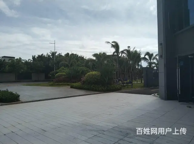 （51旺铺推荐）新埠岛碧桂园中央半岛海辰府65平铺面出租 - 图片 6