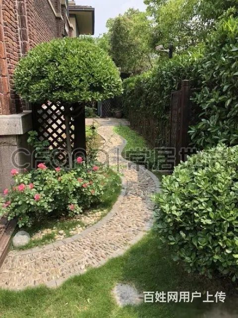 绿地世纪城精装修双拼，开间16米全朝南户型诚心出售 - 图片 10