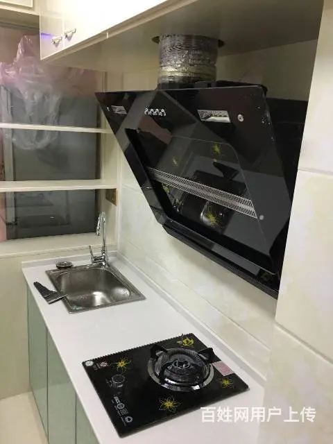 出租城市枫林小区单身公寓 - 图片 2