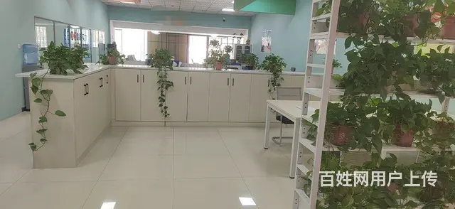 园区高档精装写字楼办公室分租 - 图片 4