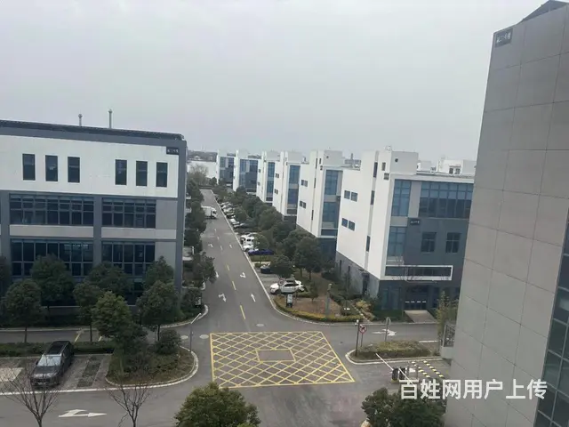 出租产业园厂房 标准1000平厂房 可生产仓库可环评 - 图片 2