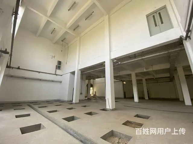 杭州滨江区小独栋办公室出租，6米层高，适合摄影直播 - 图片 4