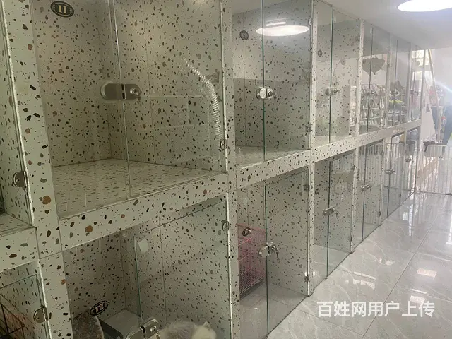 BP个人 城北萨尔斯堡三期有家宠物店转让 - 图片 5