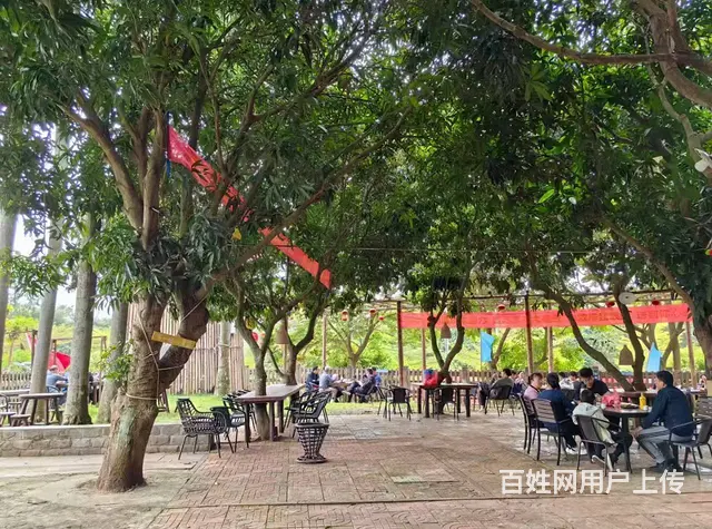 （51旺铺推荐）3亩多地具20多年树龄果园型农家乐寻合作出租 - 图片 3