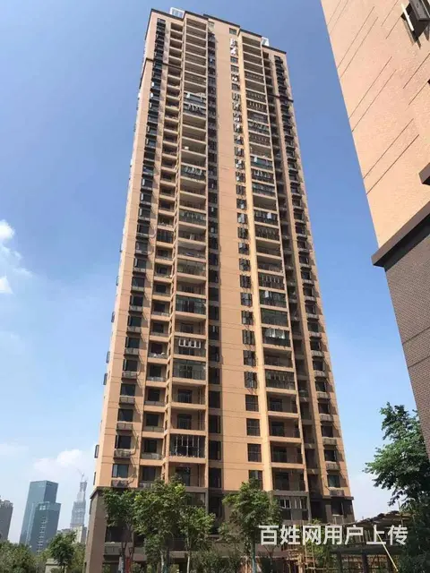 楚河汉街 螃蟹岬 省图书馆 万达尊 沙湖明珠 独立 - 图片 12