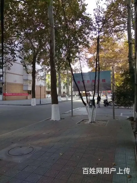 2023年山东理工大学成人高考（专科、本科） - 图片 1