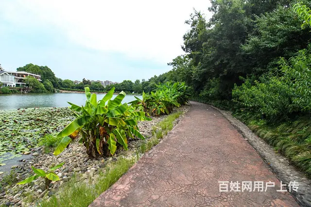 科技城近河独栋别墅，大院子，大露台，小区景观优美，实用面积大 - 图片 9