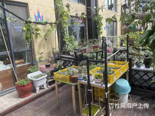 经区万象城140平花园旺铺出租 - 图片 7