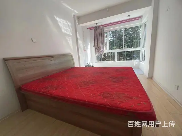 临港医院旁 正棋花园精装两室出租 - 图片 3