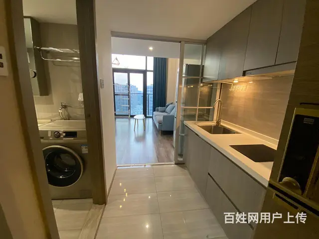向江来时代 网红公寓 两房大客厅 精装Loft 景芳天虹银泰 - 图片 6