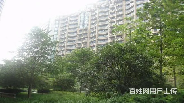 紧急出租南北3室 - 图片 11