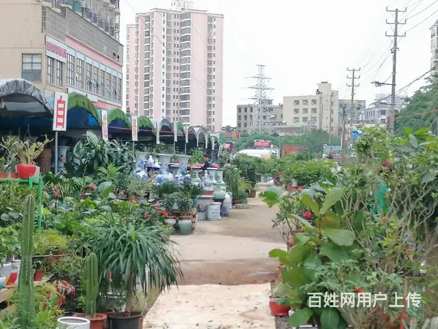（51旺铺推荐）振发路白驹学校南门50平两间场地出租 - 图片 5