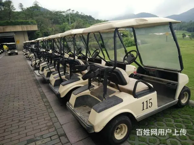 13829765654出售出租赁二手进口高尔夫球车 - 图片 2