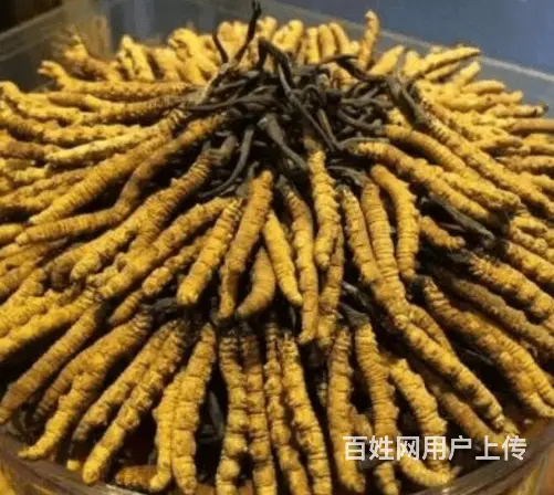 阳新县回收烟酒诚信安全 - 图片 2
