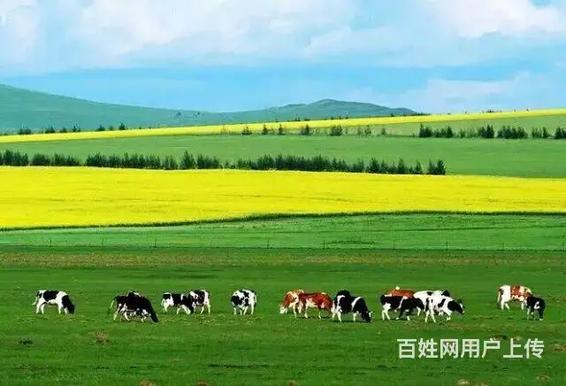 克旗经棚镇出租车摄影旅游 - 图片 7