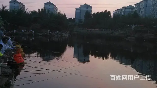 淄川白庙垂钓园出租 - 图片 2