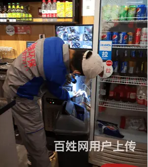 商丘专业灭蟑螂公司商丘绿佳环保 - 图片 3