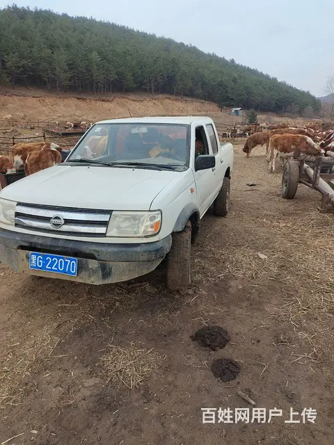 东风 其他 皮卡 国4 - 图片 3
