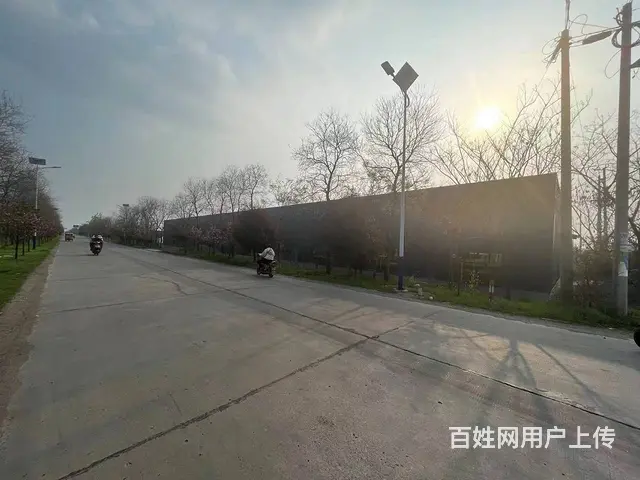 （城市在线找房免费）新沂棋盘镇附近标准钢结构厂房出租  出售 - 图片 2