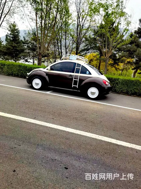 大众Beetle [甲壳虫] 2008款 2.0 手自一体 - 图片