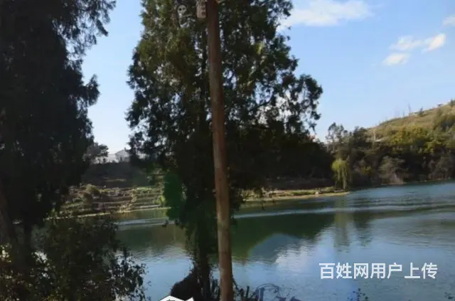 普吉建材厂小区2室一厅一卫房东直租 - 图片 5