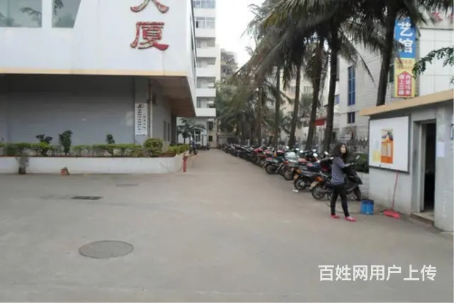 滨海大道   华秀大厦3房精装修 - 图片 11