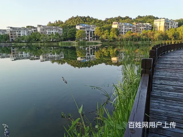 前后花园电梯防空洞豪宅 - 图片 8