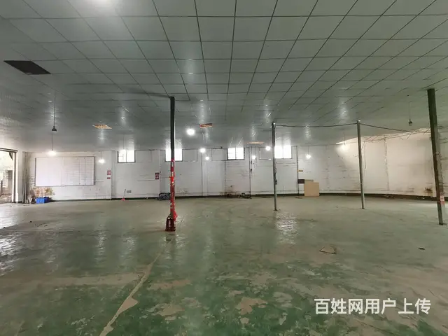 （老板本人）望城区自建厂房仓库房东直租 5250 - 图片 11
