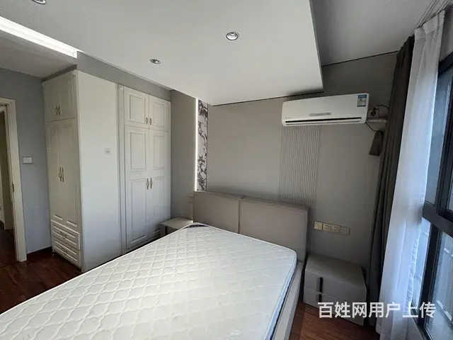 岳家嘴4号线地铁口正堂时代骏业财富中心东湖尚郡带暖 - 图片 4