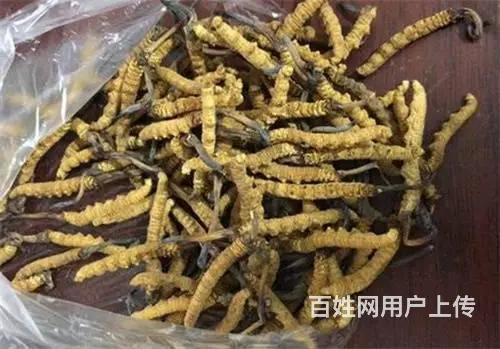 白云冬虫夏草回收价钱是多少 - 图片 11