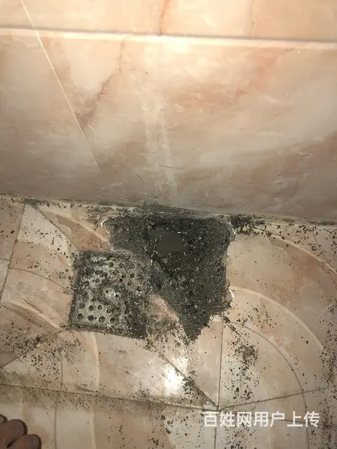 淄博测漏漏水精准定位漏水检测地埋管防水专业解决漏水 - 图片 12