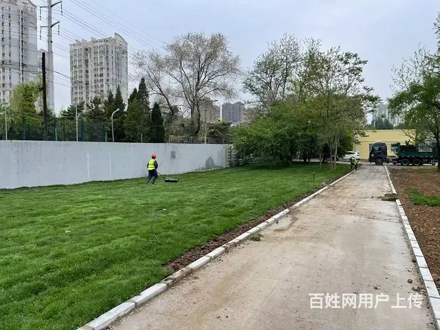 沈阳吉林唐山内蒙古绿化草坪足球场高尔夫高档小区庭院 - 图片 5
